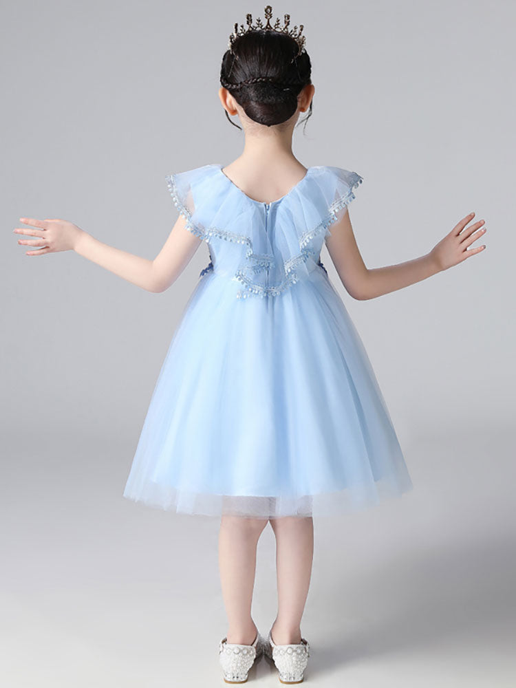 Light Sky Blue Designed Neckline Tulle Sleeveless Short A-Line Embroidered Kids Social Party Dresses-showprettydress