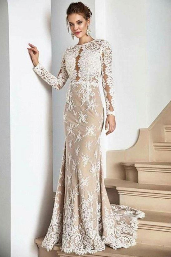 Long sleeves Champange Princess Lace Floor length V-neck Wedding Dresses-Showprettydress