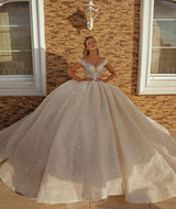 Off the Shoulder Crystal Princess Ball Gown Sequins Bridal Gowns-showprettydress